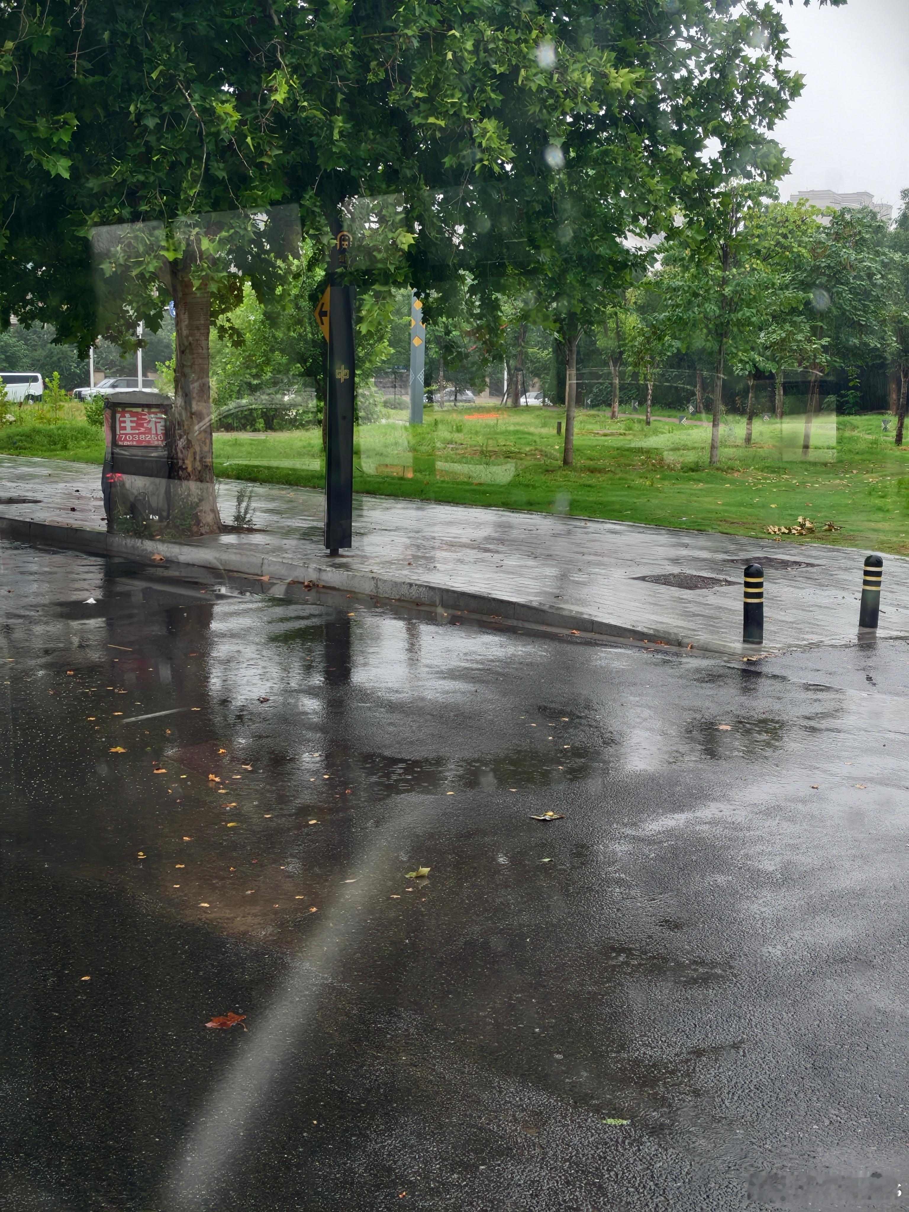 下雨啦下雨啦，好凉快