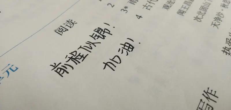 我最喜欢的四字成语是“亡羊补牢”。这成语出自寓言故事，说羊丢了赶紧修补羊圈，能防