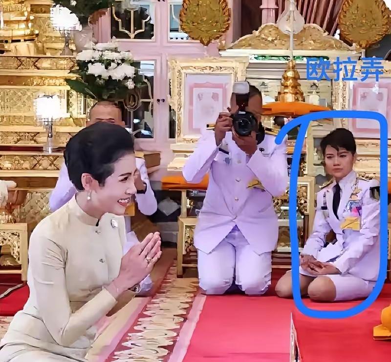 诗妮娜悔了，她是真的小看了这侍女！
谁能想到，一个长相普通，能力一般的女子，能替