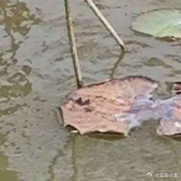 每日一善🌥阳光信用 生活的智慧，藏在“拿起”与“放下”之间。拿起，是风雨中的坚