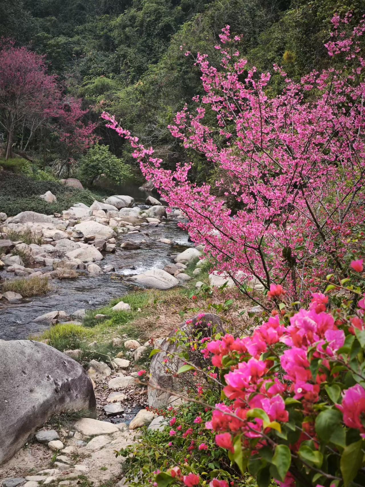 天南地北大拜年新的一年里昨天孩子去逛了一天，挣了250块钱的压岁钱。孩子大了，压