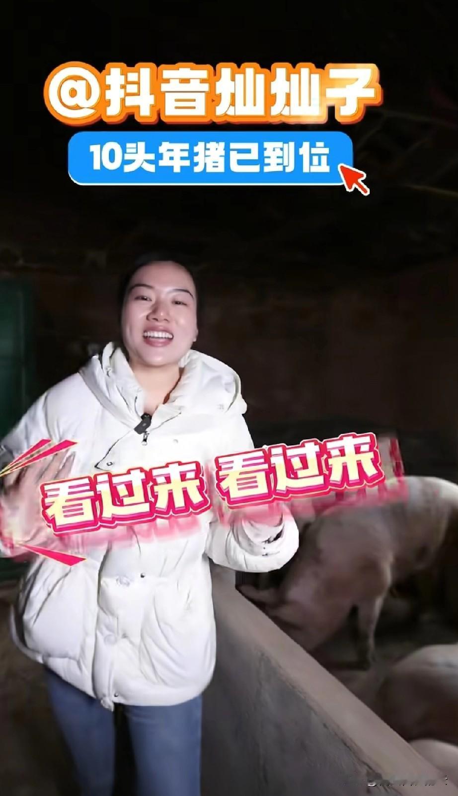 湖南的灿灿看样子要超过呆呆，虽然是抄作业，但是灿灿的规模更大，她已经准备好了10