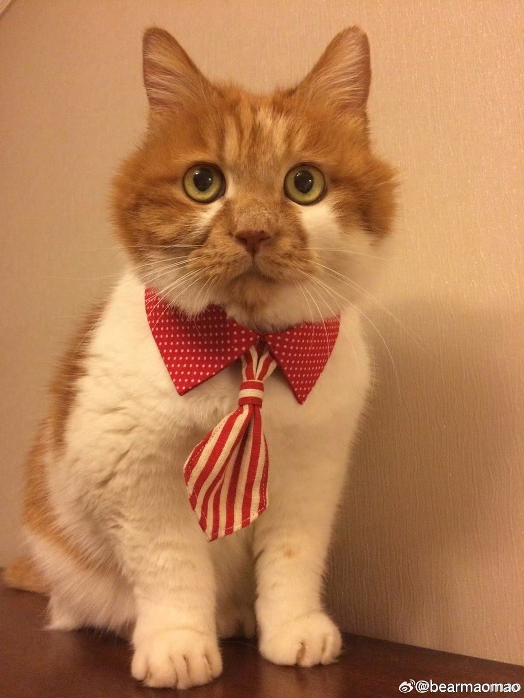 两茫茫，自难忘。你是一把尺，丈量了时光，原来，十年是这样。脚步故意已放慢，岁月却