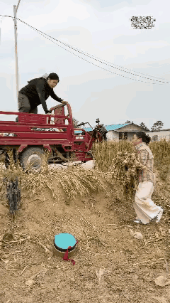 完了，没刹住车