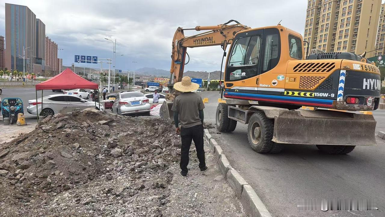 西泉街焕新提速！北侧退距绿化工程开工，沿路颜值要升级啦✨
 
     西山街坊
