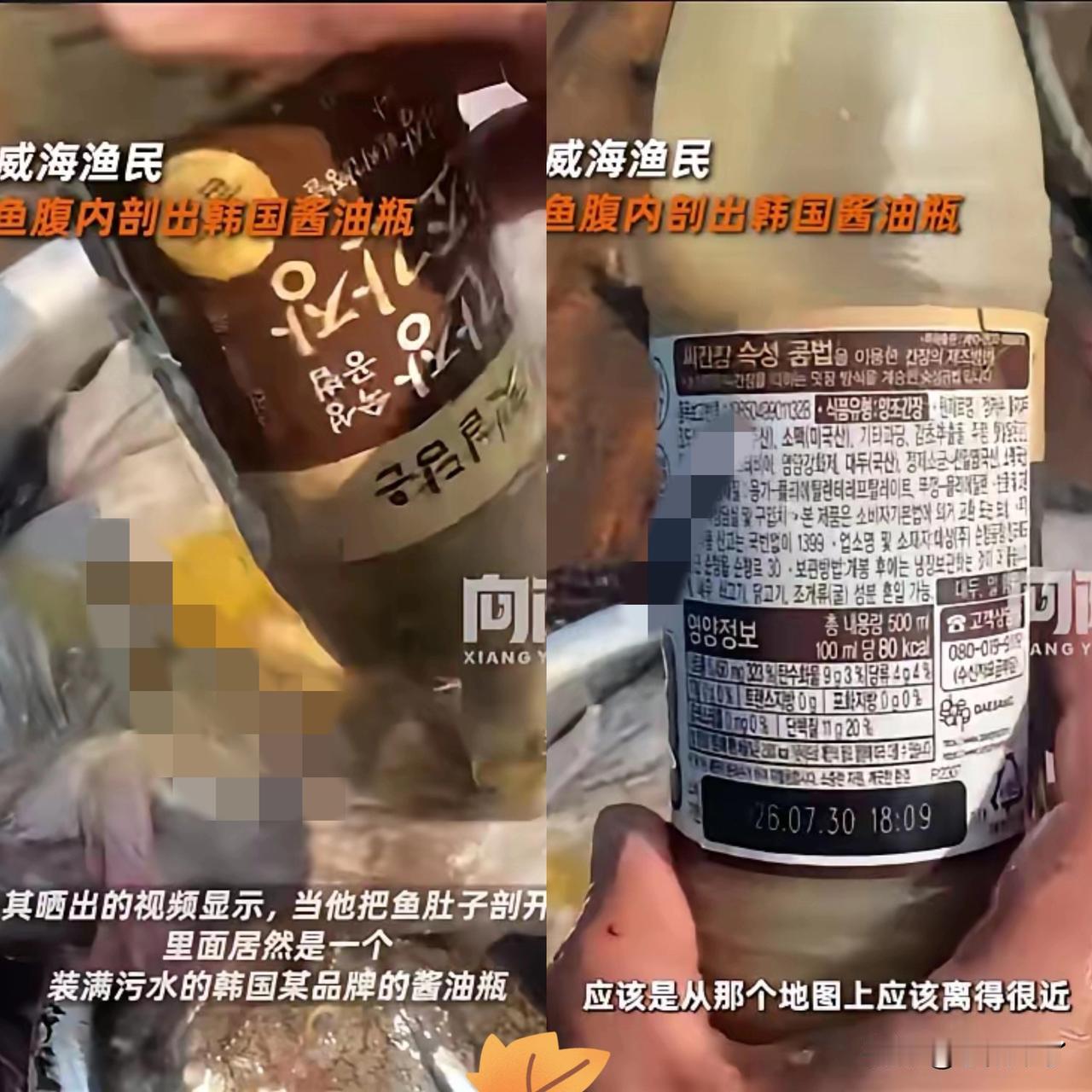 山东威海，一男子出海捕鱼时，竟从一条海鱼肚子里掏出一个完整的韩国酱油瓶！光是想想
