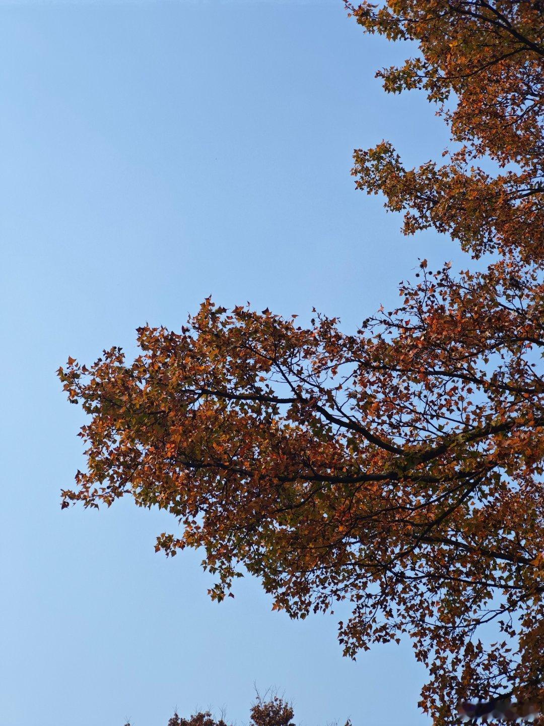 总以为来日方长，其实来日并不方长，后会未必可期，很多时候一个转身就是一辈子。人生