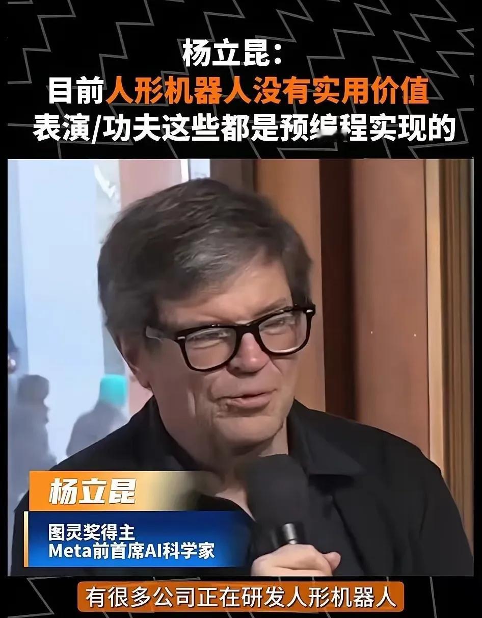杨立昆刚说完"没价值"，美国就制裁宇树？凡事美国制裁的科技都公司都是国家要大力培