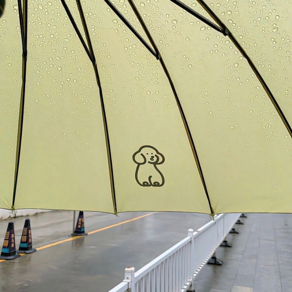 我不会永远这样沉在河底的，雨季终将过去。｜三毛《雨季不再来》 