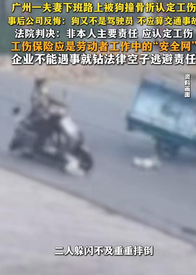 广州一对夫妻晚上9点加班结束，骑电瓶车回家途中被狗撞骨折，人社局认定工伤后，公司