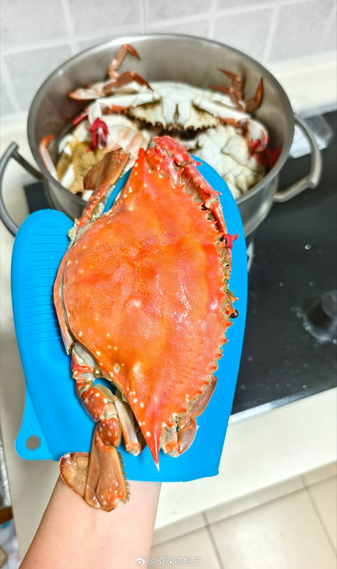 蟹黄满溢🦀一口秋天🍂跟九月说蟹蟹再见👋生活手记 ​​​