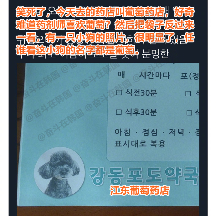 向全世界宣布我的小狗叫“葡萄” 海外新鲜事 热点现场 ​​​