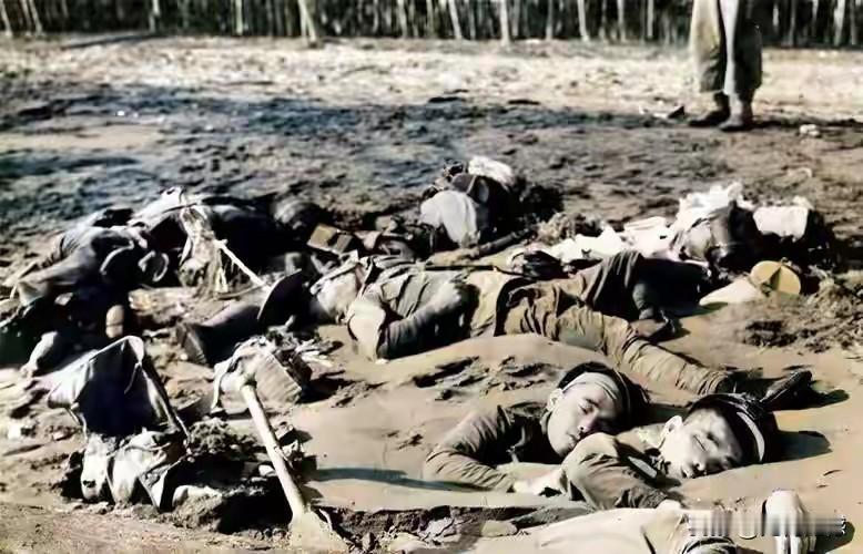 日本鬼子对我们造成的伤害，怎么能够轻易说翻篇就翻篇，说忘记就忘记？但凡是说出这样