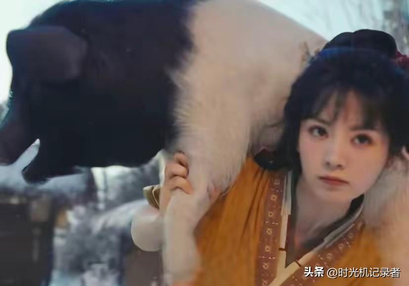 田曦薇真是大力士，一点不矫情。
她看着是甜妹，其实力气很大，在大奉打更人里把王鹤