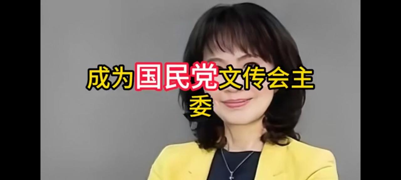 陈凤馨接任国民党文传主委？我怎么没有查到？
百度没有豆包没有，
这个视频天外飞仙