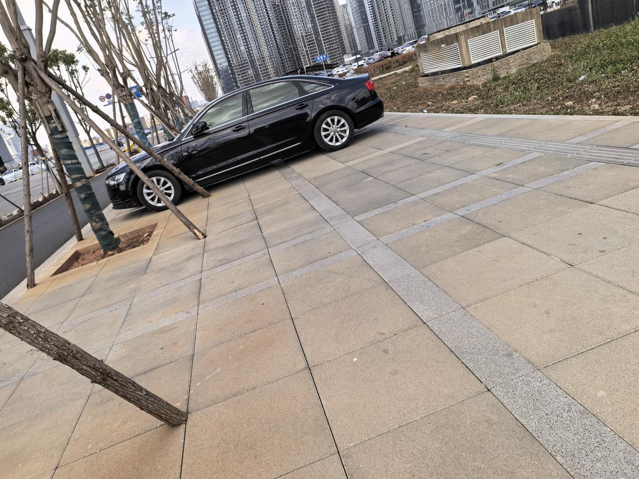 这些地方的车为啥都喜欢停在人行横道上，他们不走路的？把盲道都停车占了，让别人怎么