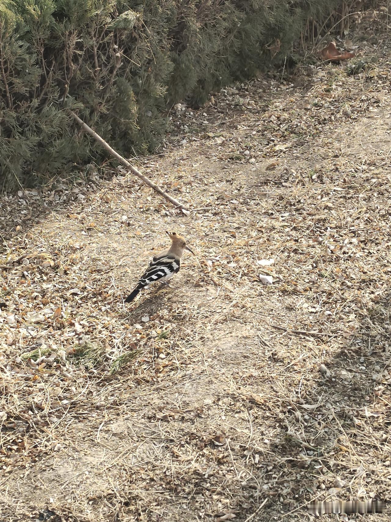 谁懂你独自扛下的所有？原来，能救你的只有。你自己
在我最难的时候，谁也没有让我变