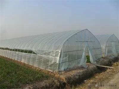 今天几个村民到镇里找领导，让镇里帮他们要工程款。
几个月前，有一个负责招商的单位