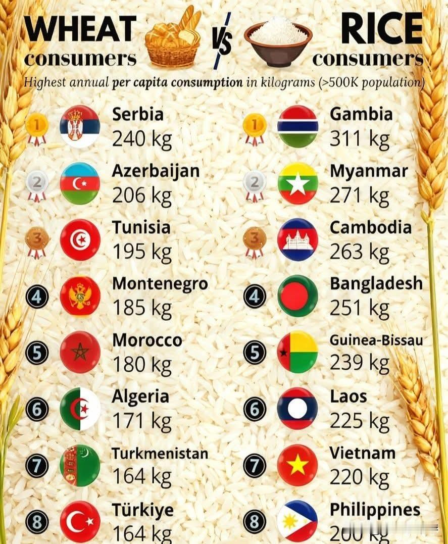小麦 vs  大米：全球主粮消费概览
 
本信息图展示了人口超过50万国家的年度