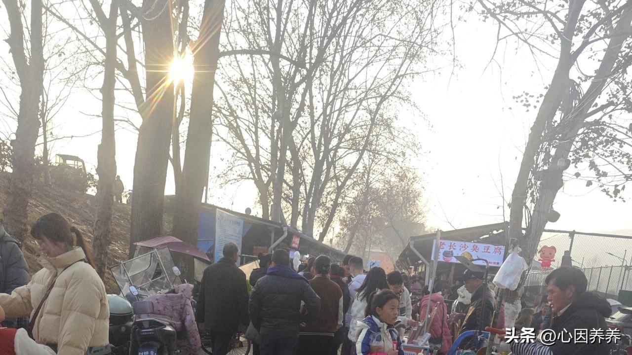 #秋日生活打卡季#
上联:春色和融民所望
下联:夏阳炽热物皆需
        