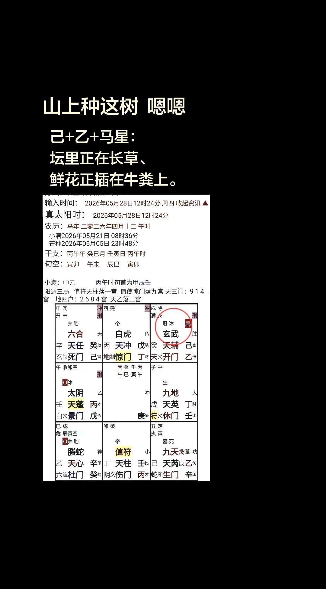 山上种树：己+乙。