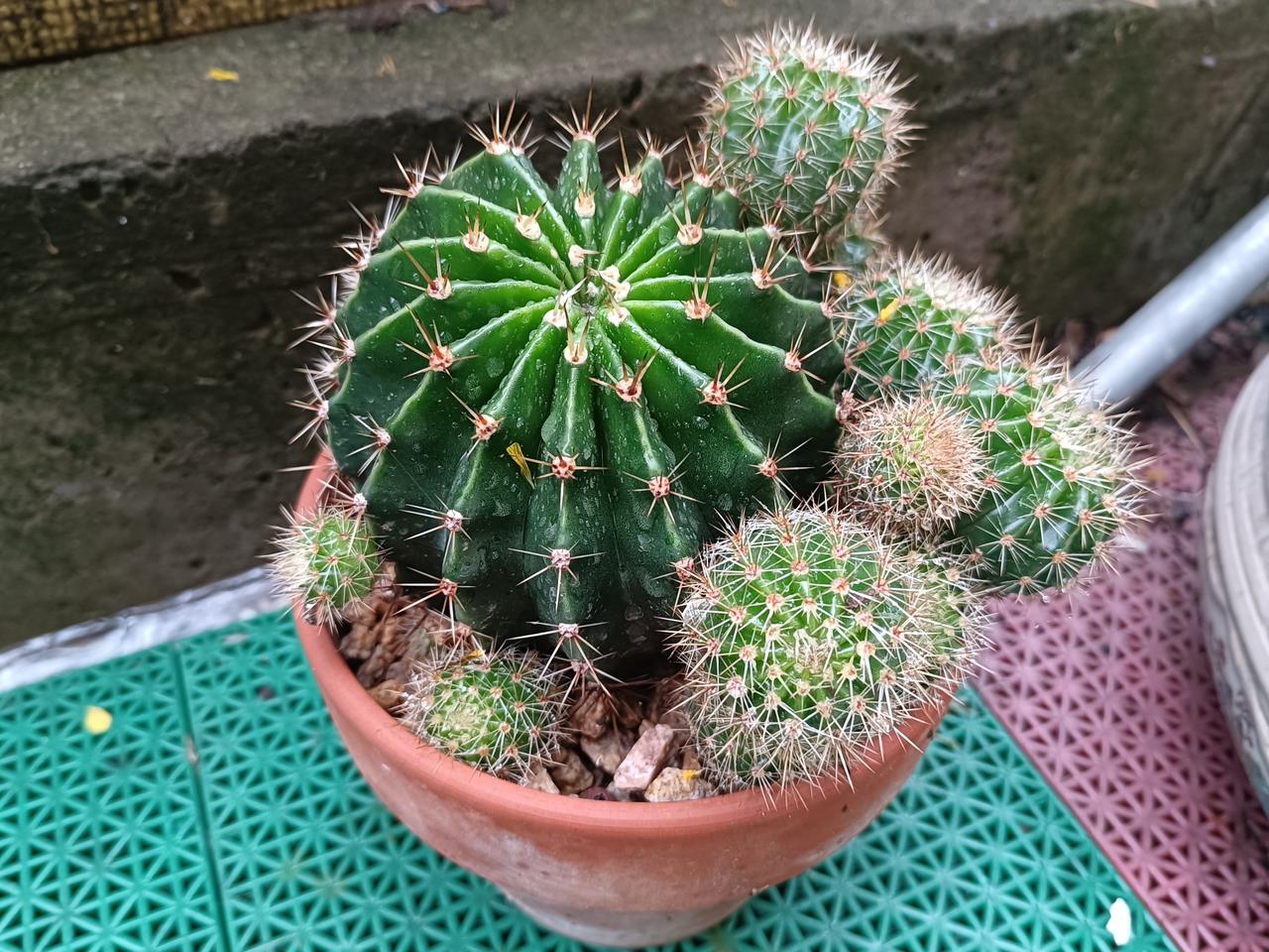 这说明你的付出已经可以托起你以后的生活了，假如没有这2200的退休金您是否还那么