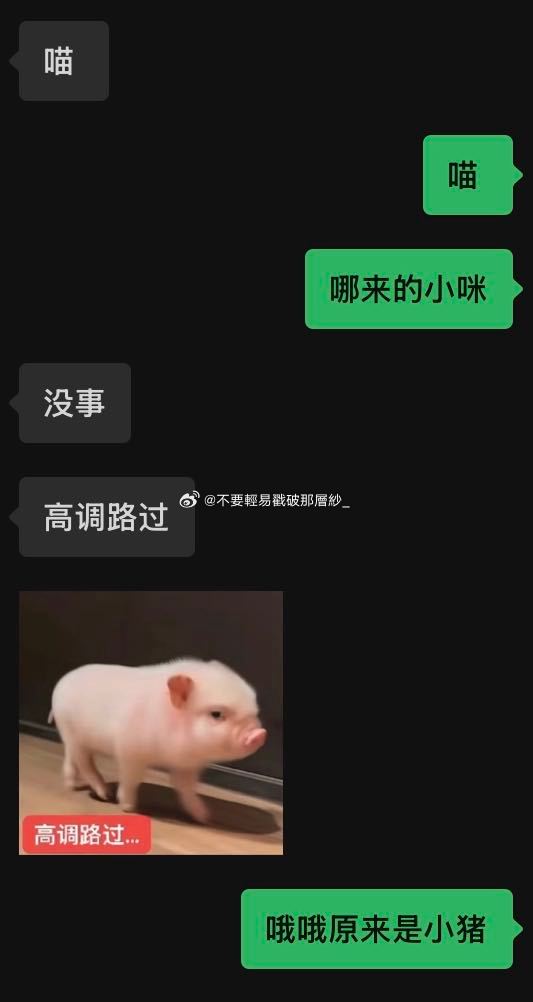 22019萌之… 