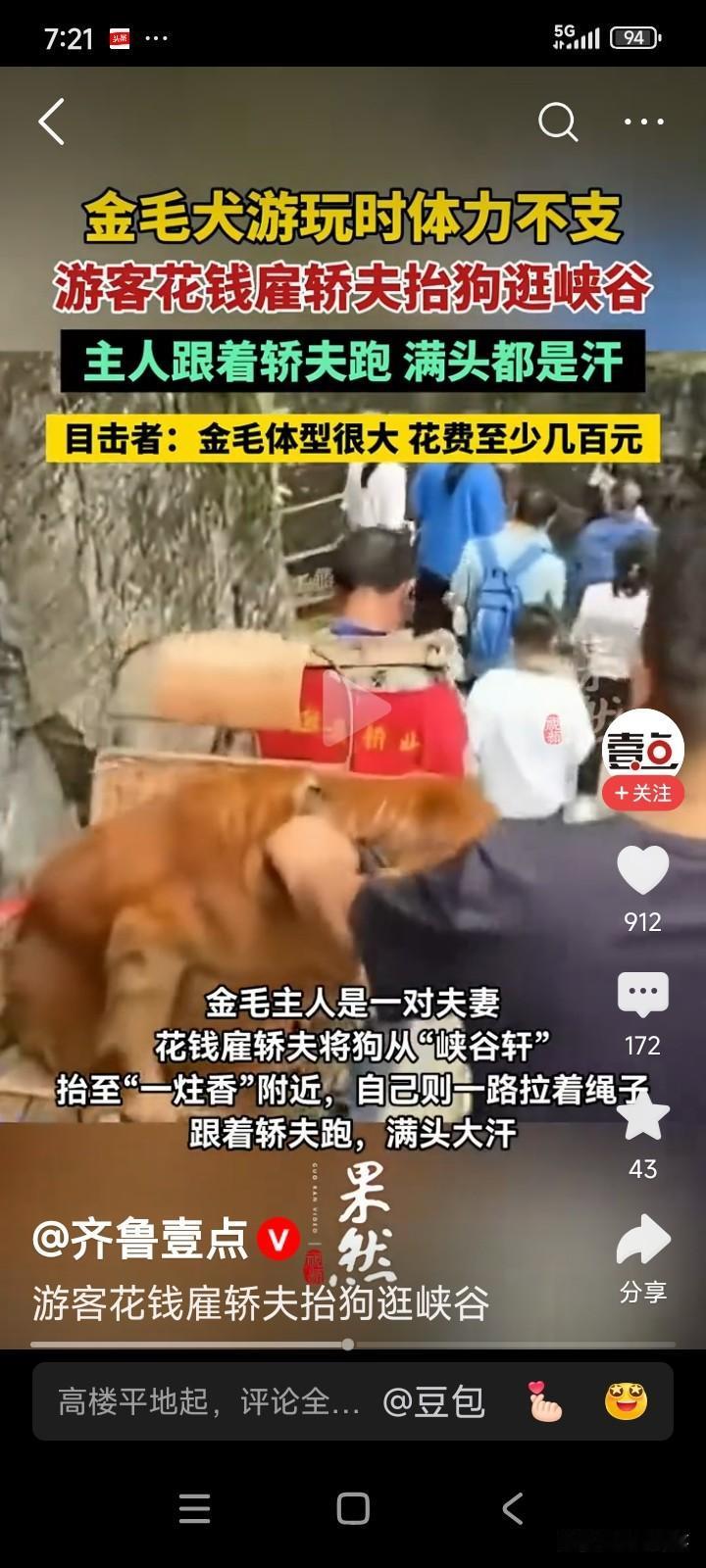 湖北恩施，一名男子到景区游玩时，看到4个人用轿子抬着一只金毛犬，狗主人在后面跟着
