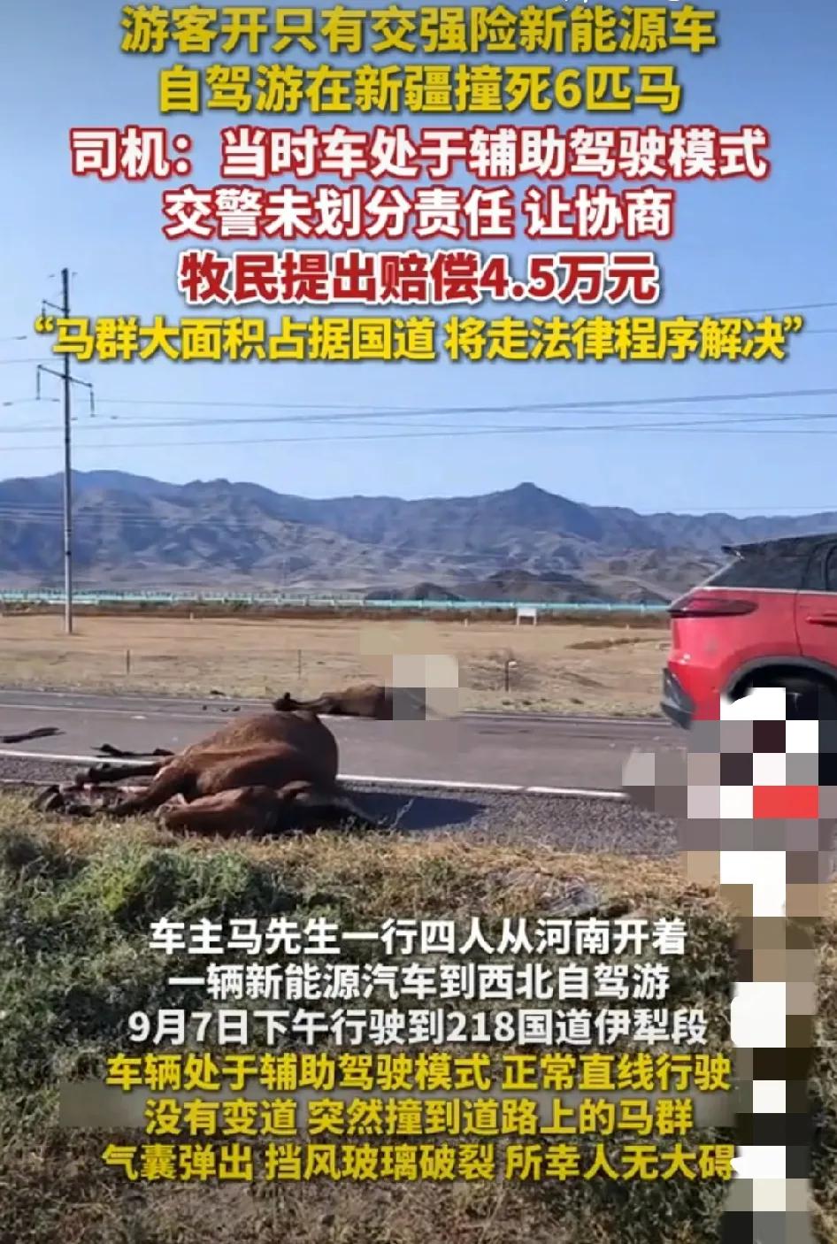 国道敢使用辅助驾驶，损人不利己，这是不要命了，差点车毁人亡！还且至六匹马六个生命