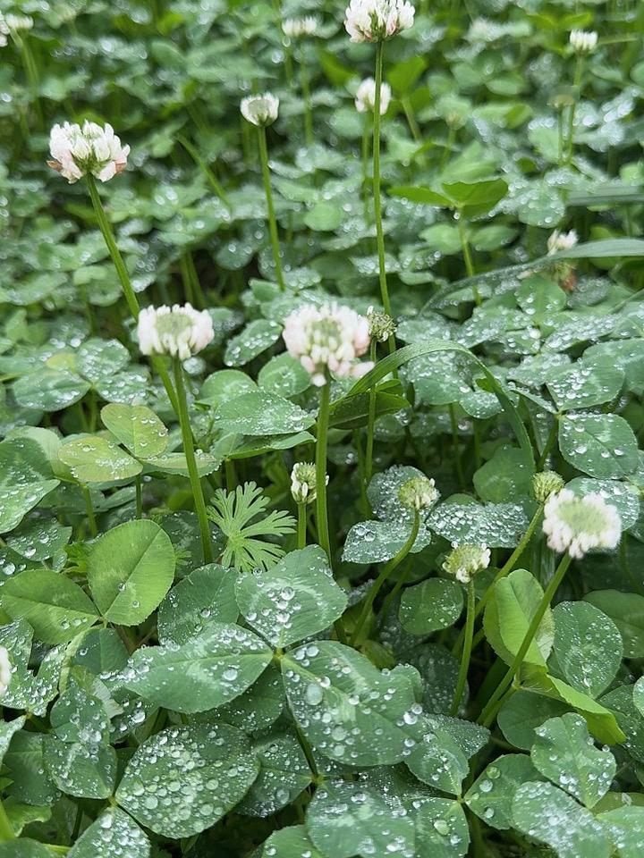 我的今日状态：😁轻松愉快
我这里的天气：☀️晴天