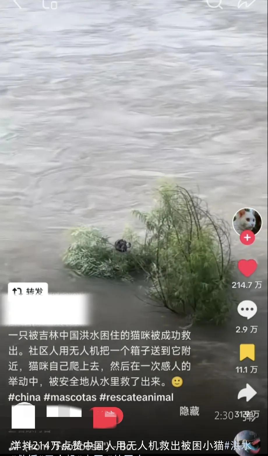 吉林无人机救小猫这事在洋抖火了！已经215万点赞，这次真是 中国意林 了，中国小