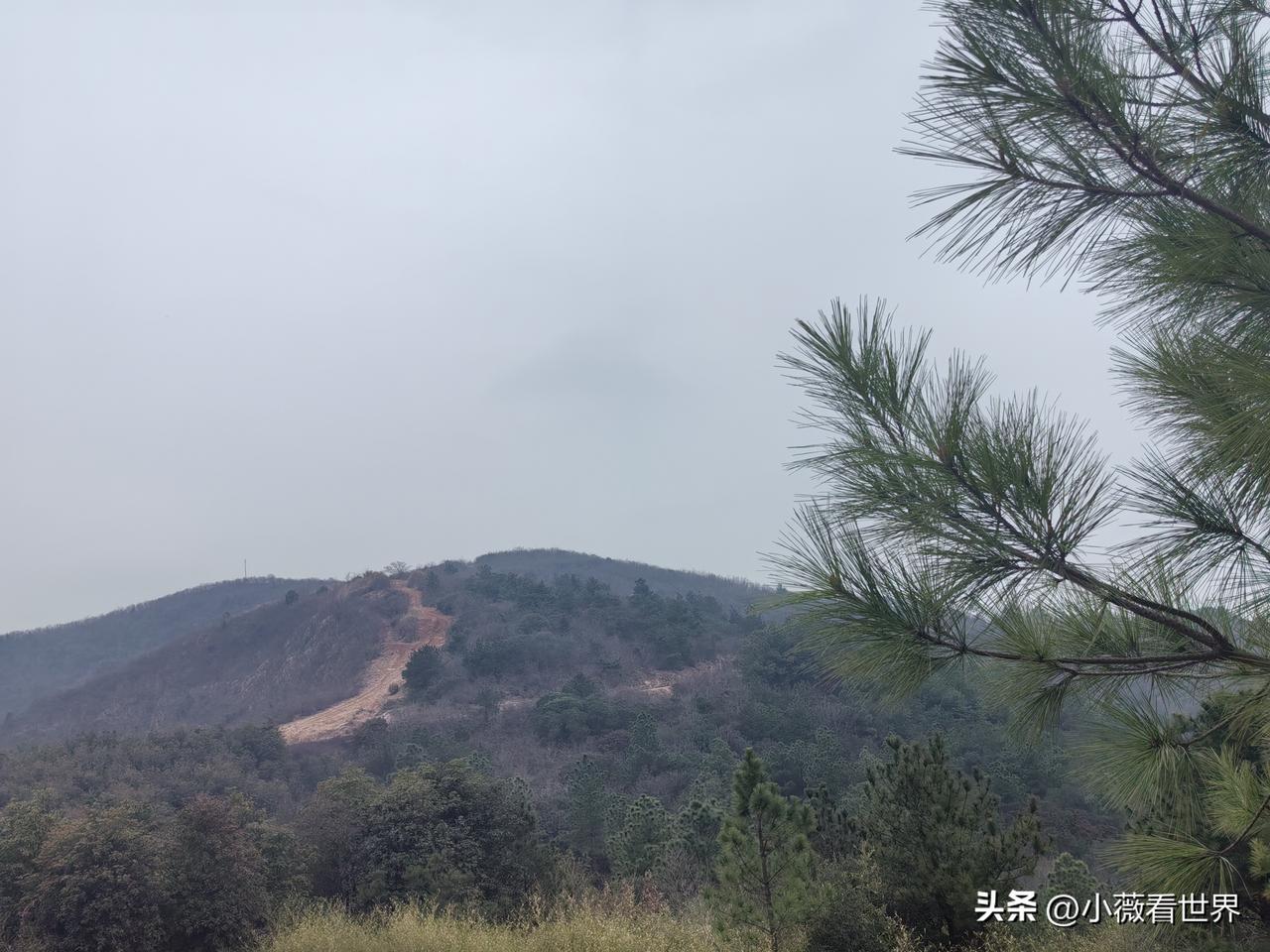 ​已经很久没有来爬我们这里的山了，登高望远，虽然天空灰蒙蒙，但一路走走看看，还是