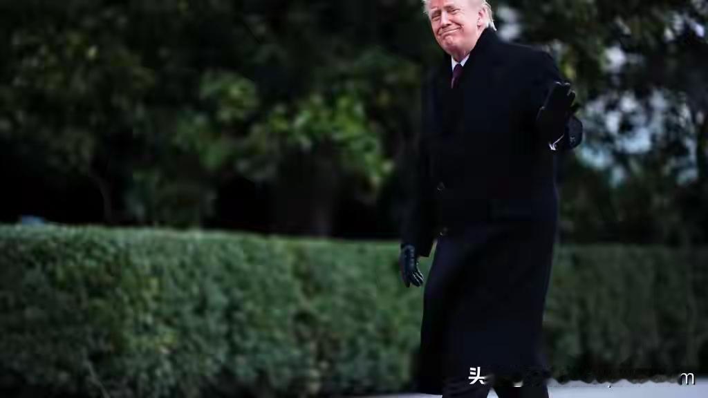 不忍了，特朗普亲侄女下场开骂：整个美国共和党全被我叔叔毁了！
 
这话可不是外人