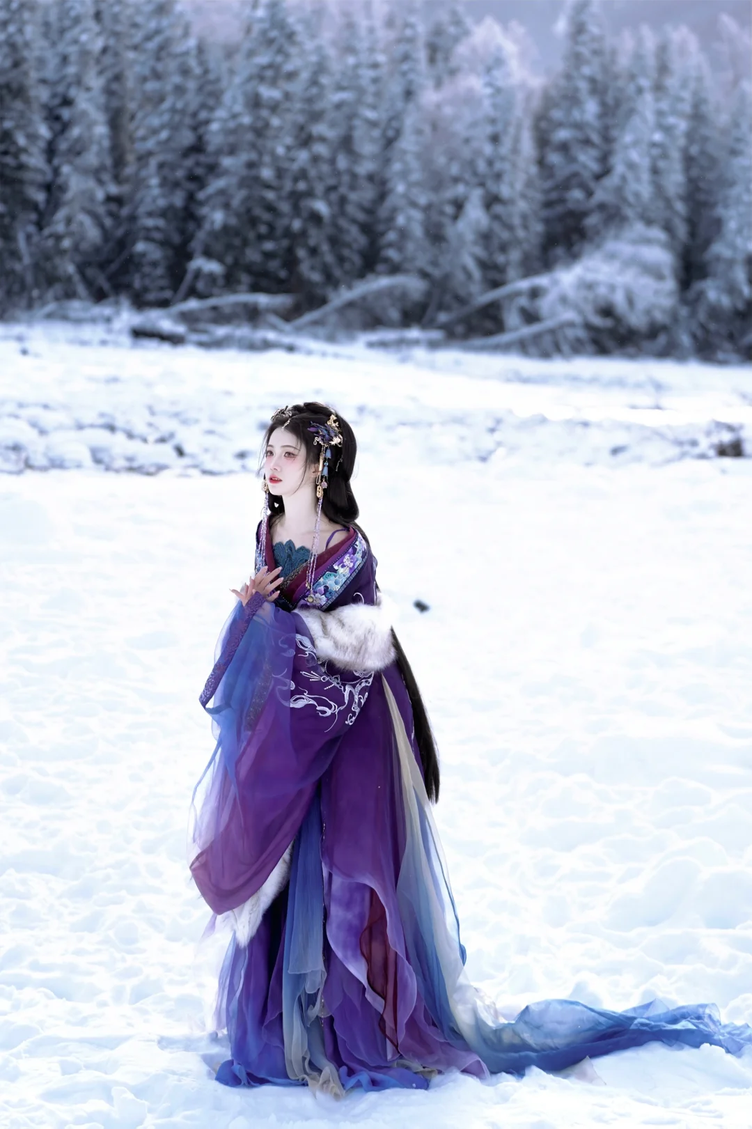 “苍山负雪，明烛天南”