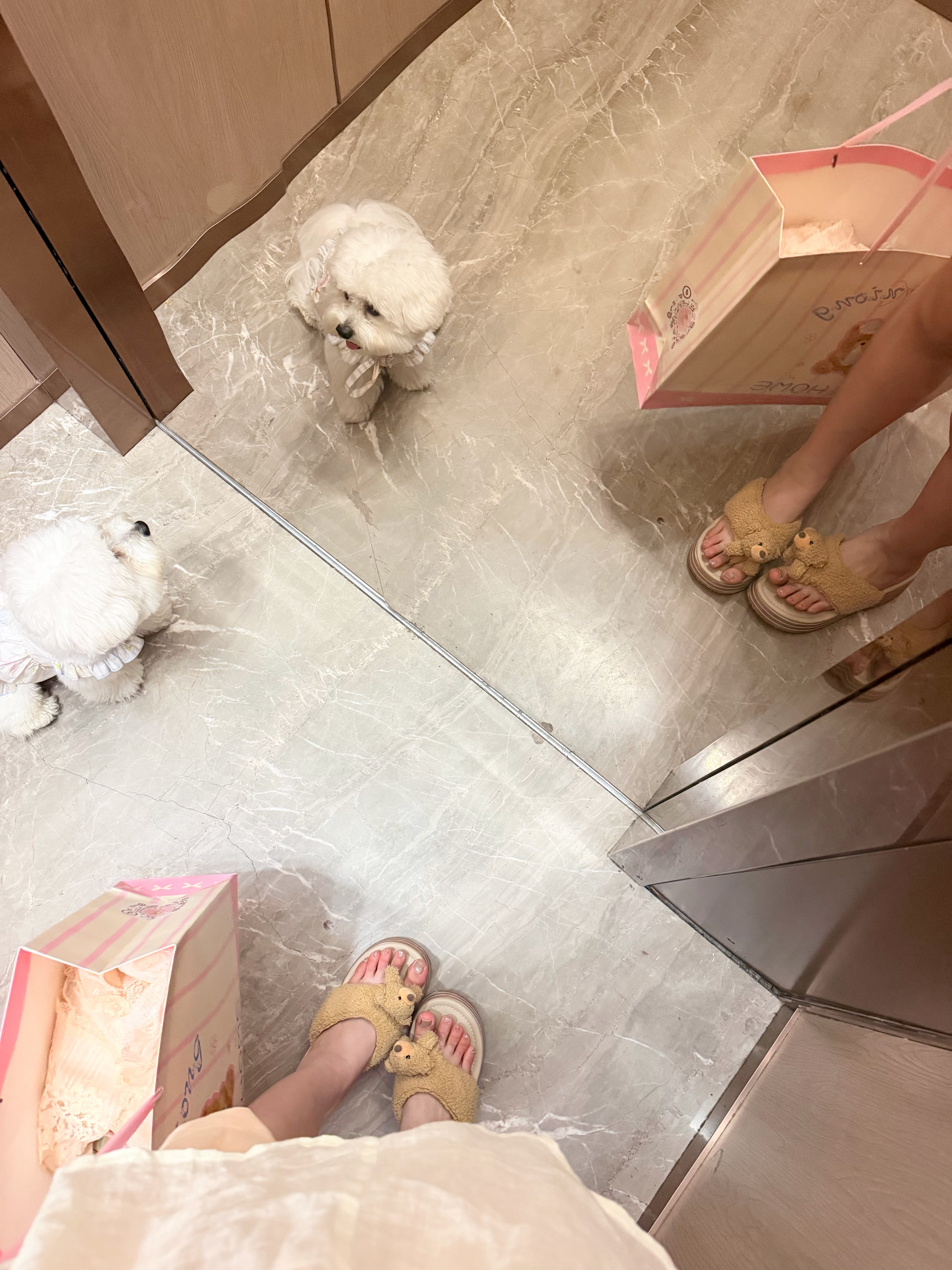 虽然天很热但依旧穿这个鞋带给他穿回本哈哈哈哈哈哈哈哈 