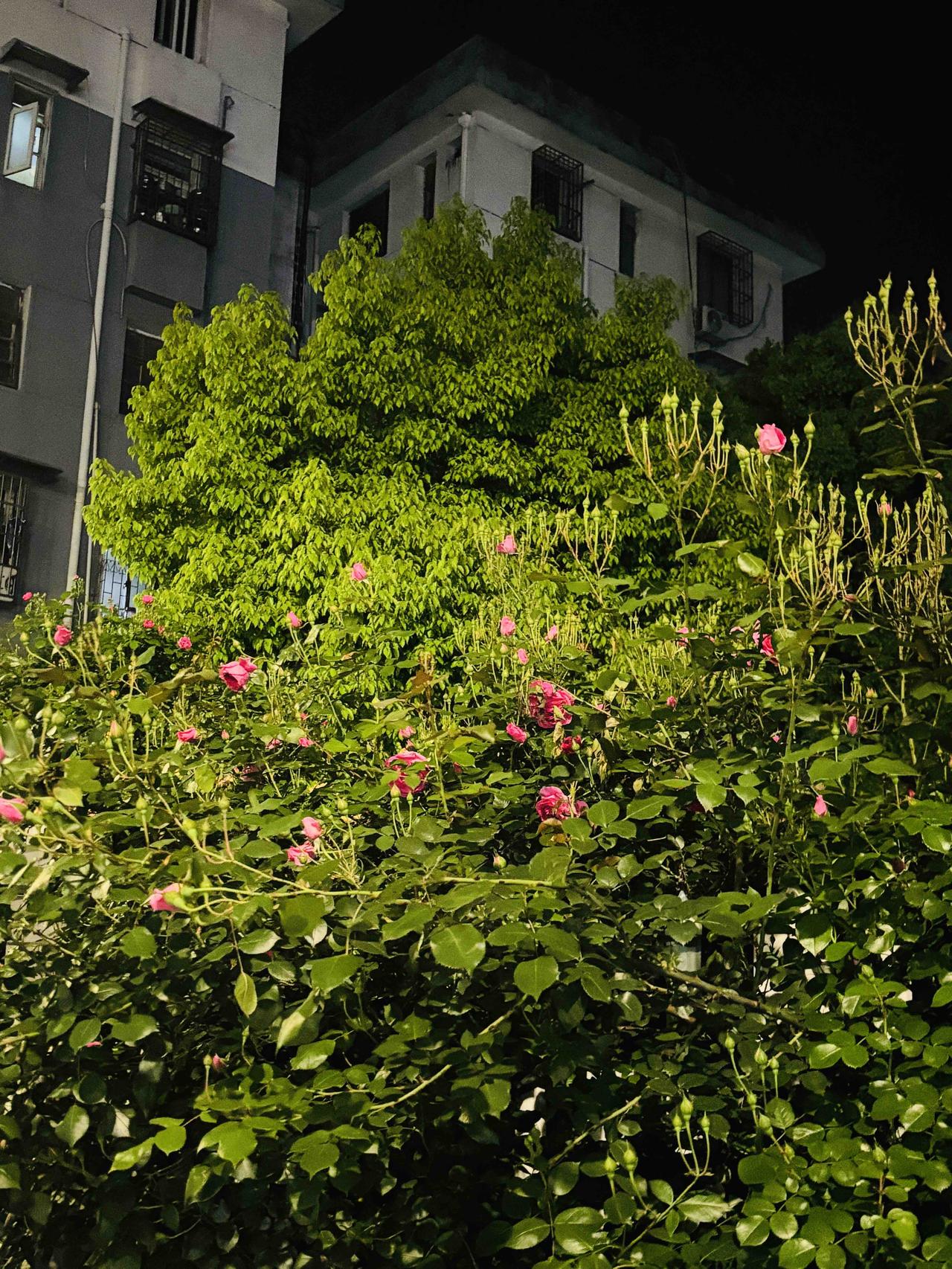 芜湖 不期而遇的美好❤️