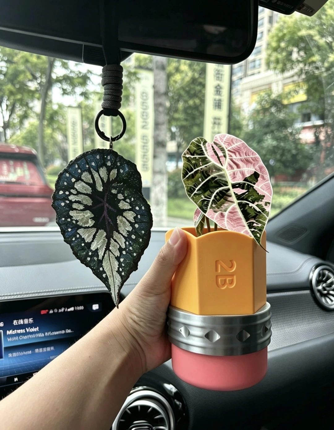2 B不一定是铅笔，它也可能是个花盆