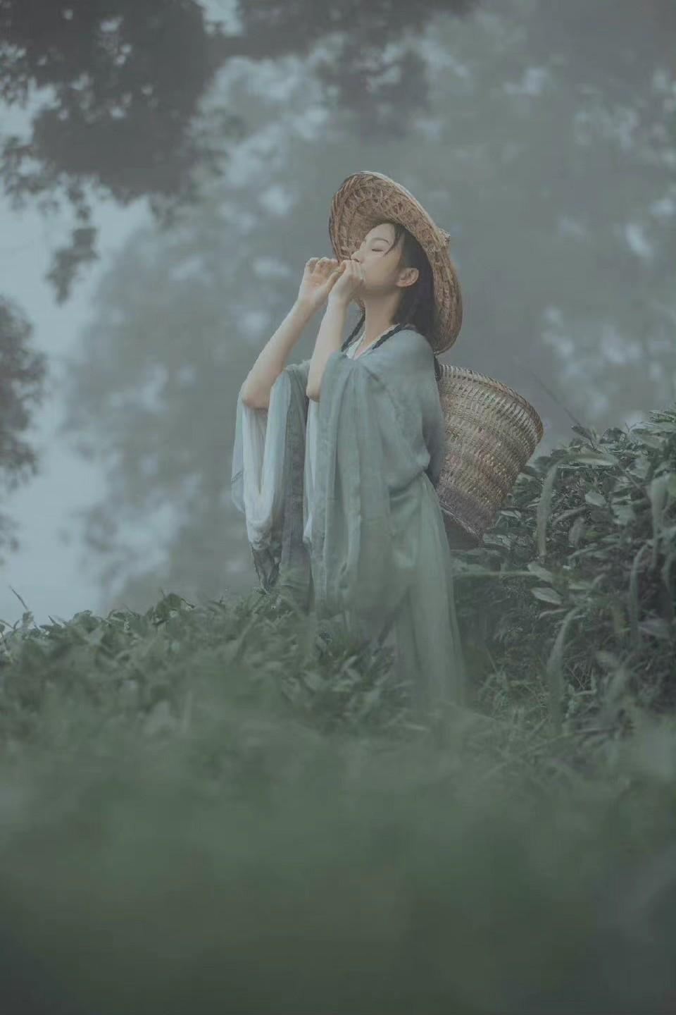 一段深得我心的箴言：

“归家勿携阴霾，因你之颜，乃家之晴雨表。驴若以吼治世，岂