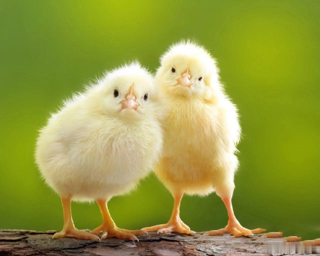 突然发现有一年多没抽手机了，你们想不想要[doge] ​​​