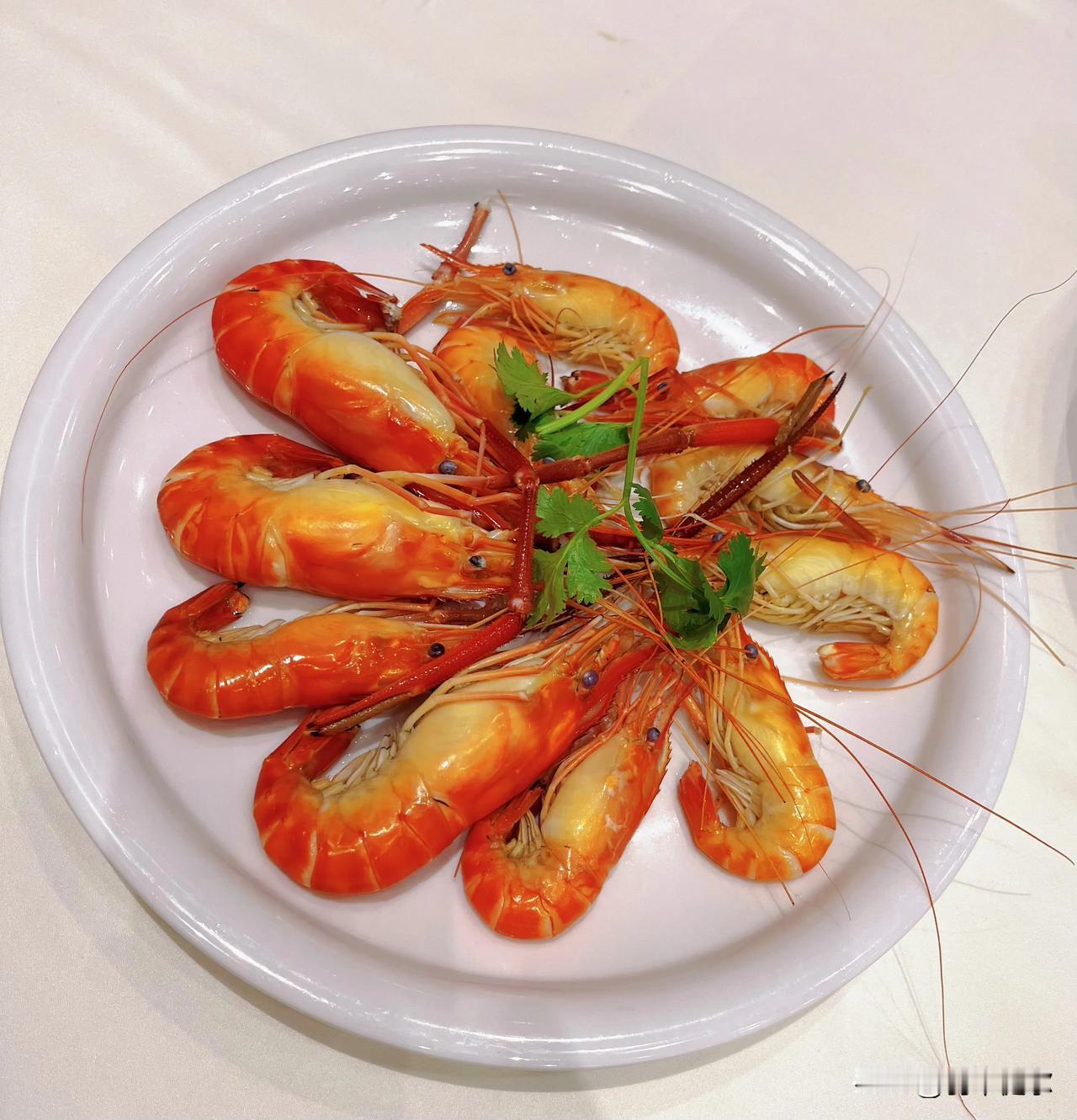 用生命供养生命。
生命只有相互依存才能得以延续。
比如大自然中的食物链，每一个生