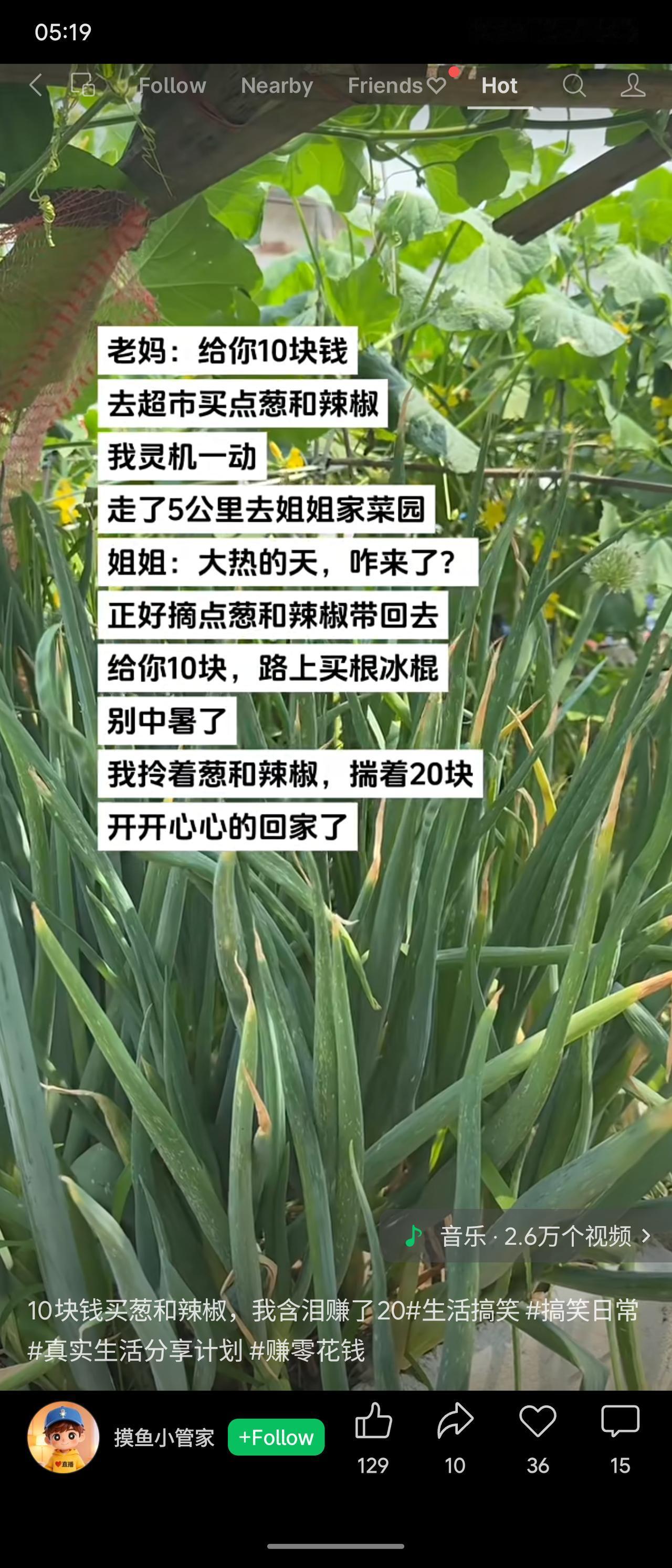 老妈给10元让买葱和辣椒，“我”却步行5公里到姐姐家菜园自取。姐姐不仅让摘菜，还