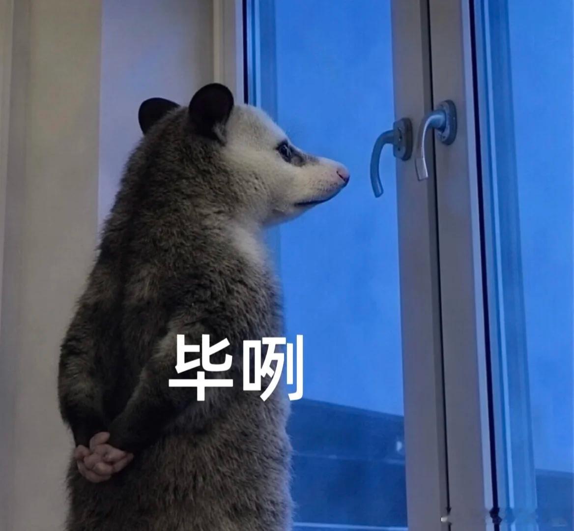 离大谱。晚晚拿水没拿酒直接喜提怀孕剧本？网友都是名侦探吗。毕咧。晚晚疑似怀孕了
