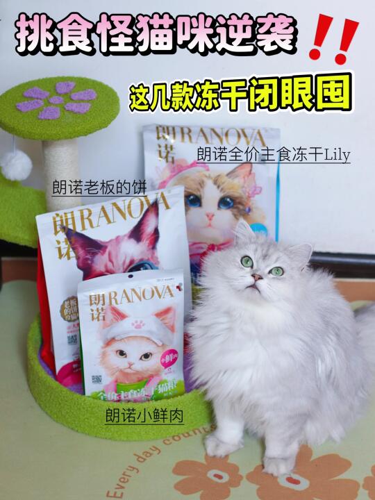 挑食怪猫咪逆袭！这几款宝藏冻干速囤～