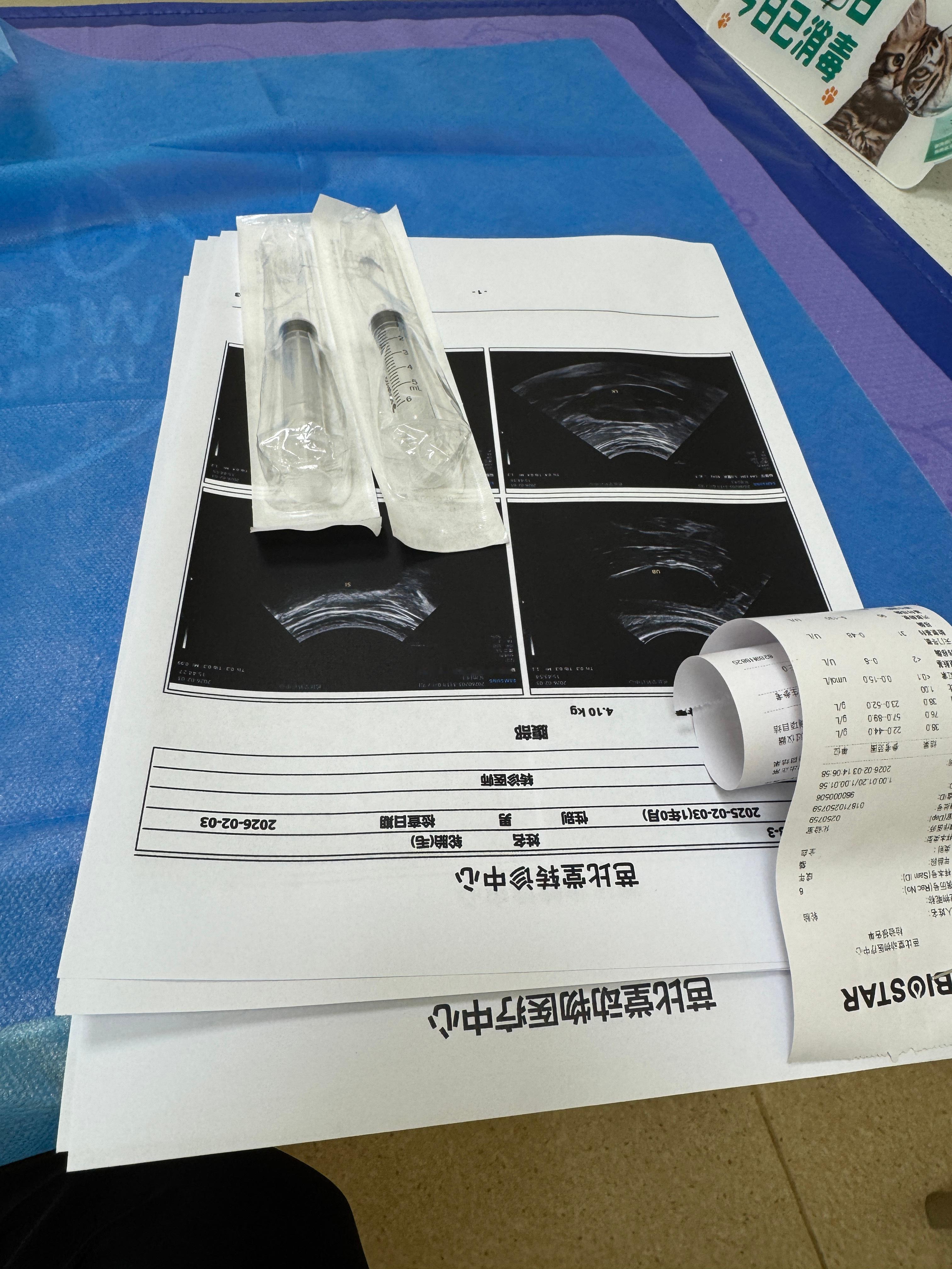带哈基米做了个检查消费一千多，比人花费的还多…