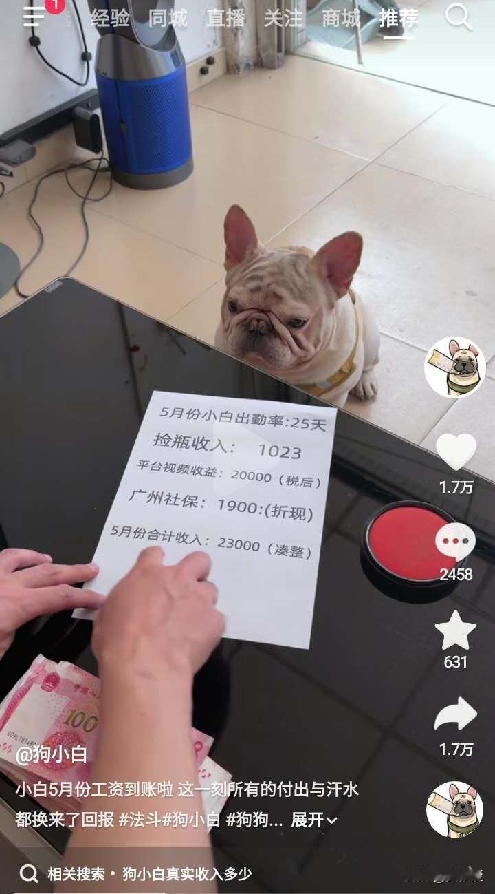 这也太牛了