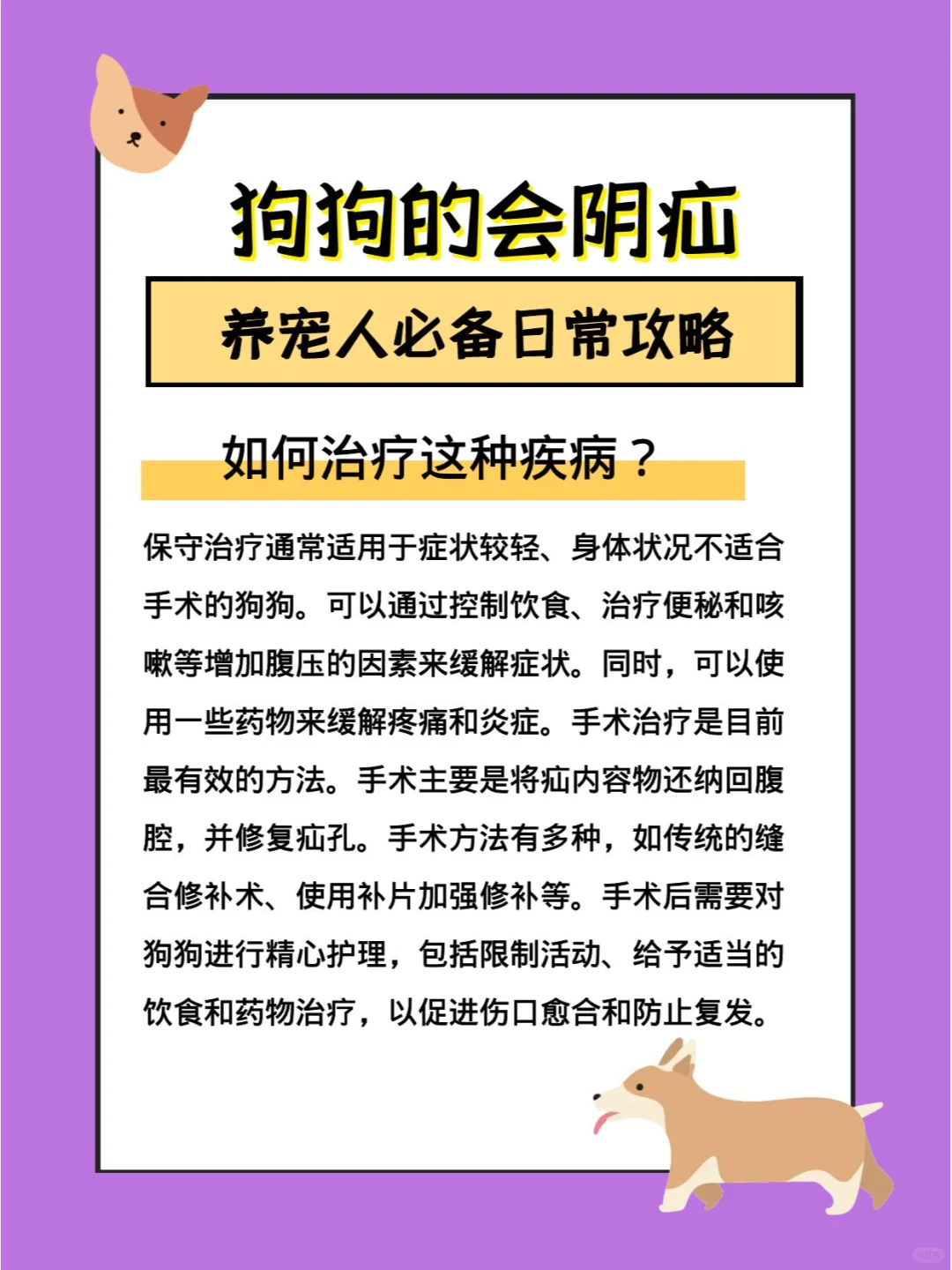 狗狗排便困难，屁屁鼓起大包怎么办？