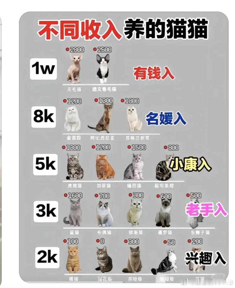 部门小朋友还在跟我疯狂安利他捡的猫。我回去问胡萝卜要不要。胡萝卜说：咱家养了一只