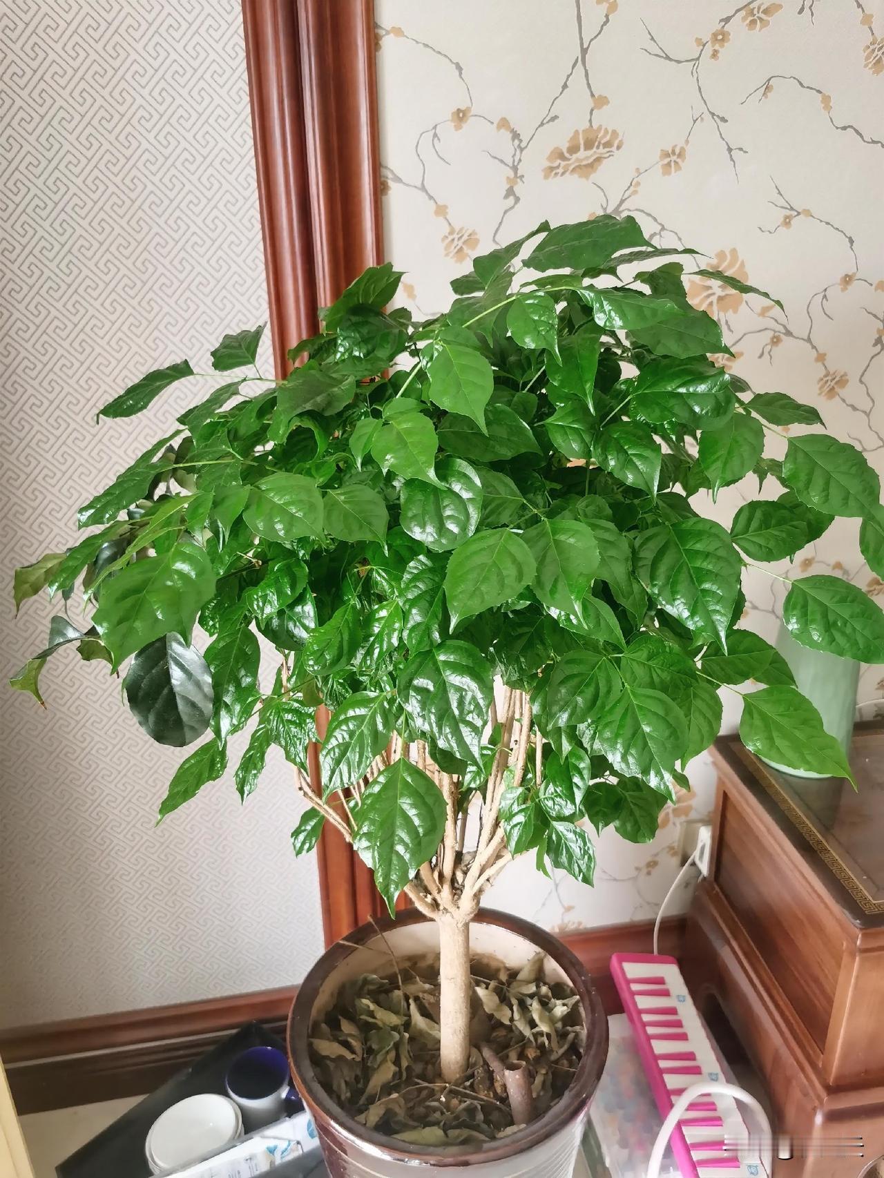 你发现了吗？
现在的小朋友很厉害，放学时，可能不敢让自己的爸爸妈妈买吃的，逮着同