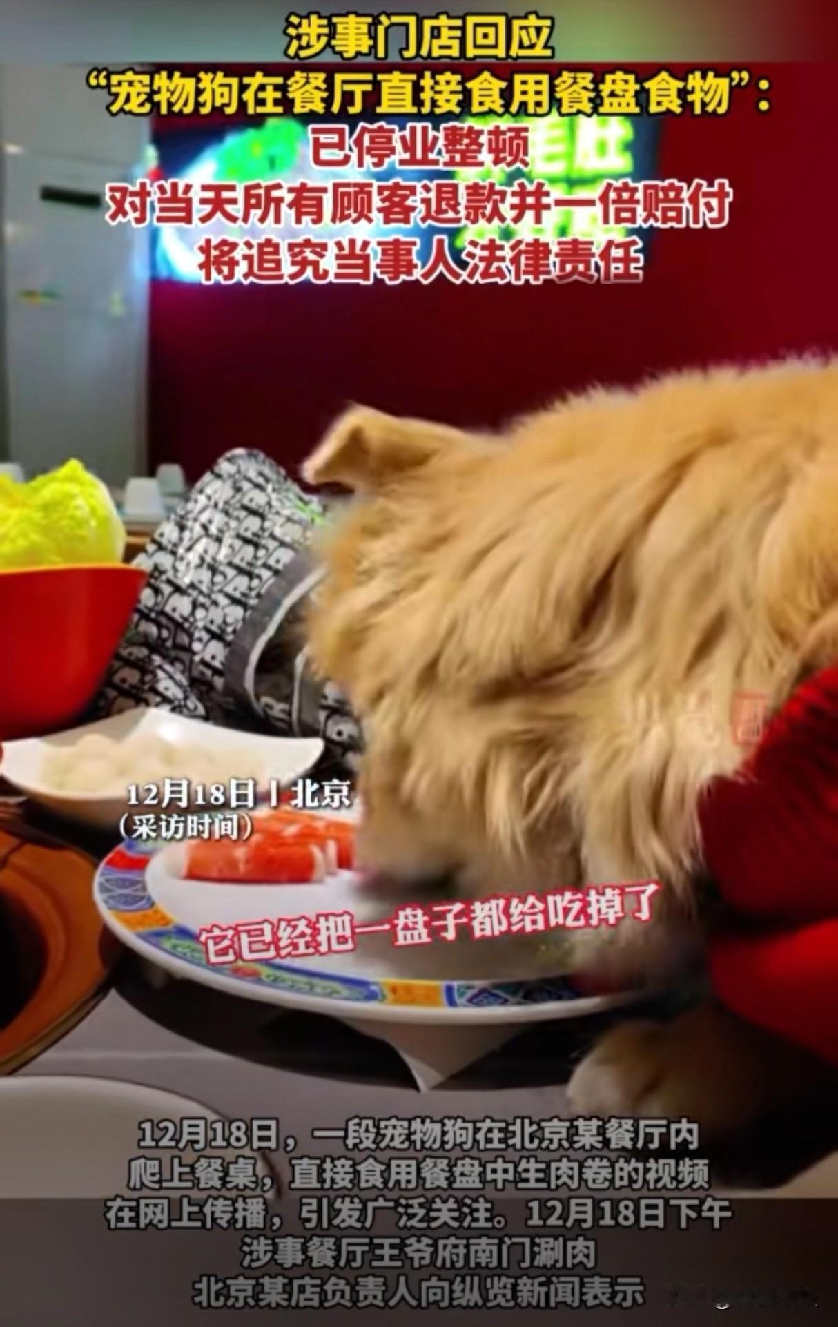 “恃宠而骄”。

涮肉店惊现“旺财”舔净盘底的“光盘行动”，“以一己之欢，扰众人