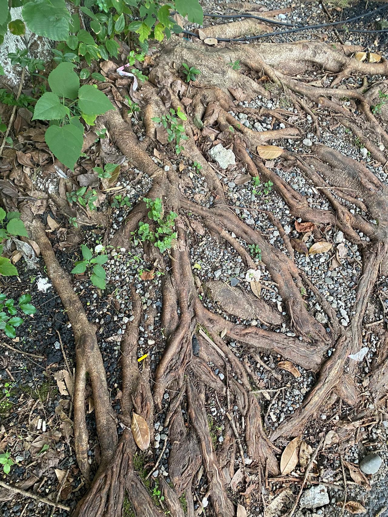 我们家的收入没有固定，我们家就一人工作，全家4口人，我们这几年每年的收入大概在几